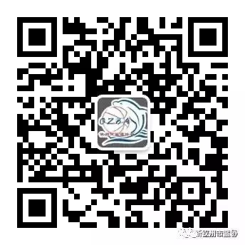 如何制定智能篮球训练计划_2